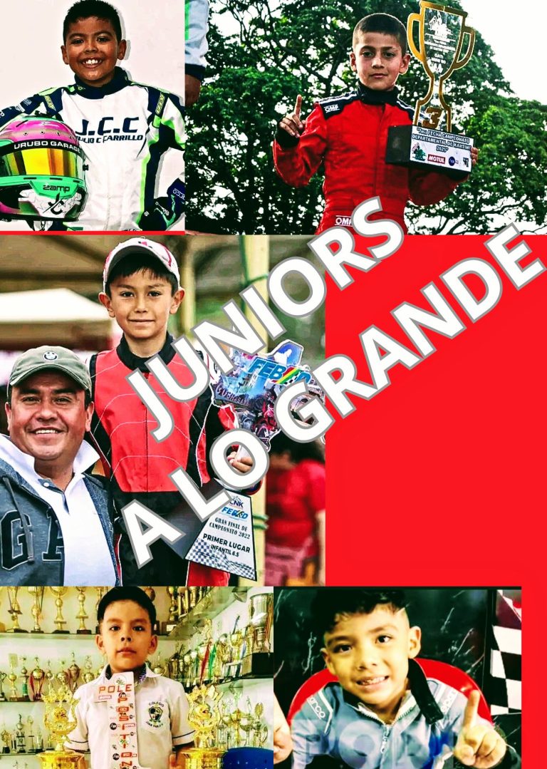 Export_20-02-2025_14-05.pdf_20251116_141116_0000